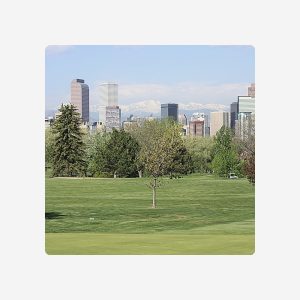 Albuquerque Parking Credit - $250